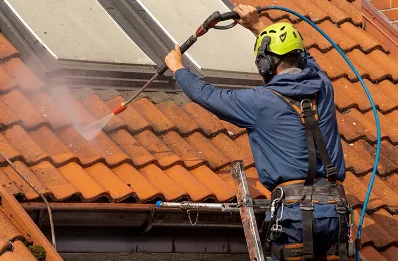 Démoussage et hydrofuge de toiture à Domène